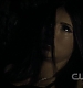TVD0436.jpg