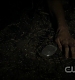 TVD0440.jpg