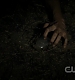 TVD0441.jpg