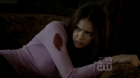 TVD0026.jpg