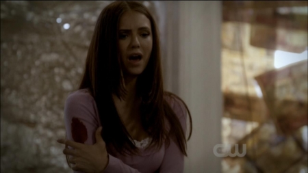 TVD0239.jpg