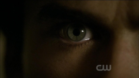 TVD0323.jpg