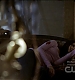 TVD0036.jpg