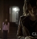 TVD0081.jpg