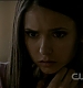 TVD0195.jpg