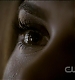 TVD0209.jpg