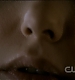 TVD0210.jpg