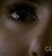 TVD0211.jpg
