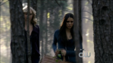 TVD0057.jpg