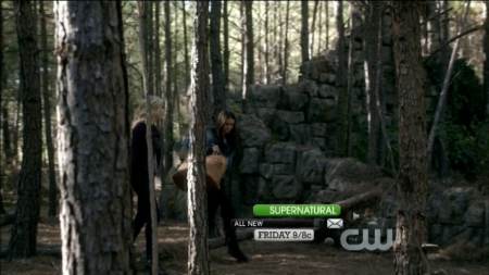 TVD0058.jpg