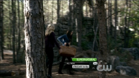 TVD0059.jpg