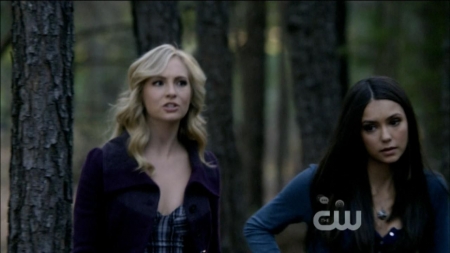 TVD0061.jpg