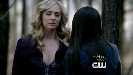 TVD0066.jpg