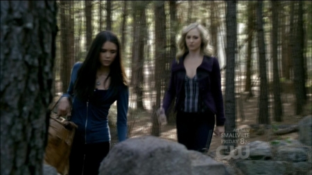 TVD0072.jpg