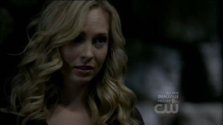 TVD0082.jpg
