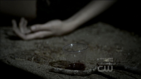 TVD0154.jpg