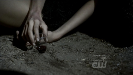 TVD0156.jpg
