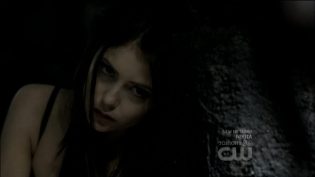 TVD0169.jpg