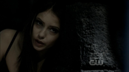 TVD0173.jpg