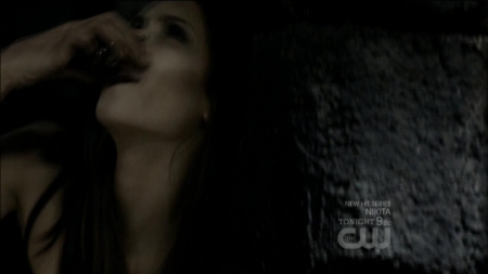 TVD0176.jpg