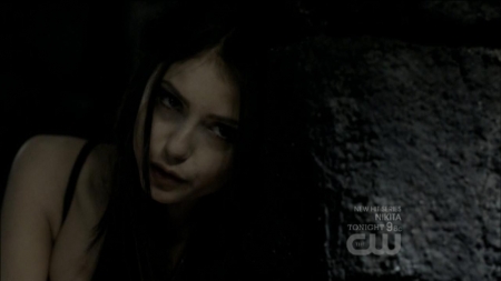 TVD0180.jpg