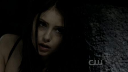 TVD0184.jpg