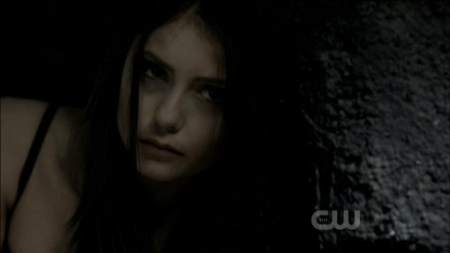 TVD0186.jpg