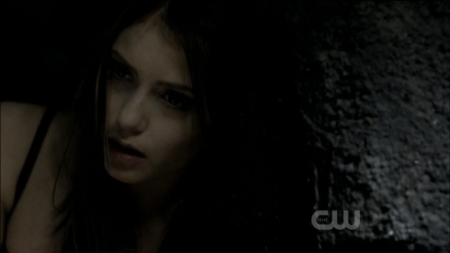 TVD0192.jpg