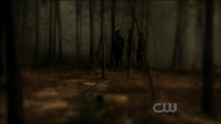 TVD0199.jpg