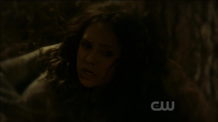 TVD0200.jpg