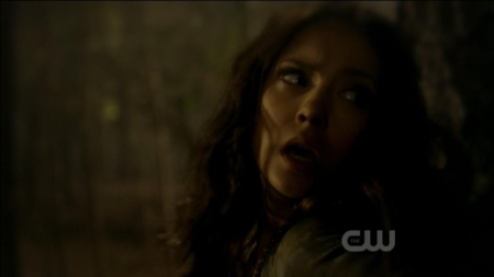 TVD0207.jpg