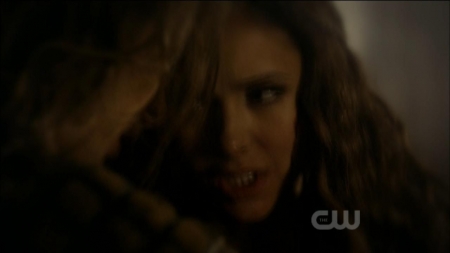 TVD0213.jpg