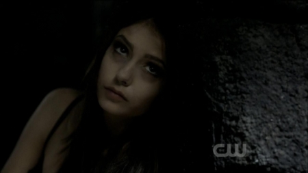 TVD0219.jpg