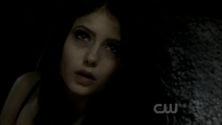 TVD0221.jpg