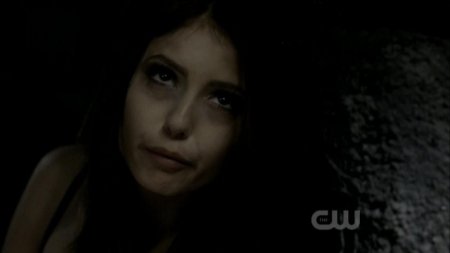 TVD0222.jpg