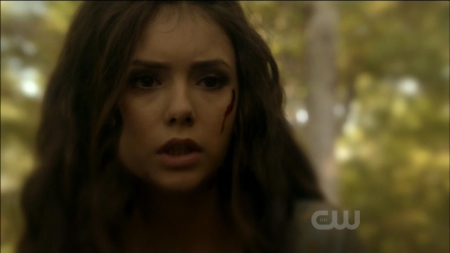 TVD0241.jpg