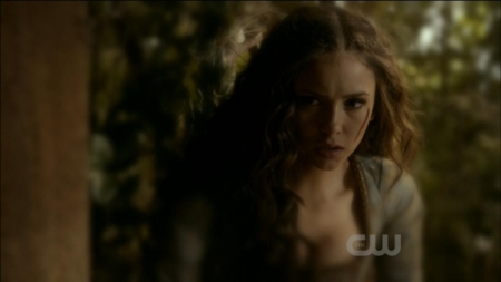 TVD0249.jpg