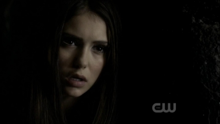 TVD0263.jpg