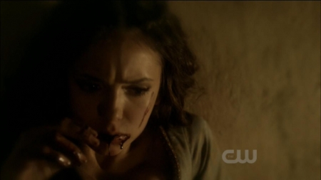 TVD0272.jpg