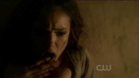 TVD0273.jpg