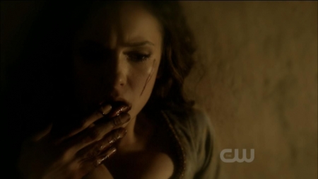 TVD0274.jpg
