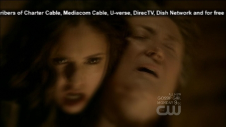 TVD0313.jpg