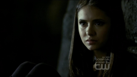 TVD0324.jpg