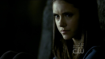 TVD0331.jpg