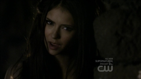 TVD0355.jpg