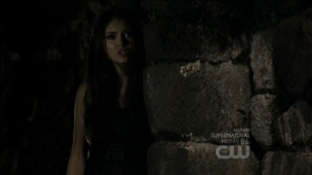 TVD0359.jpg