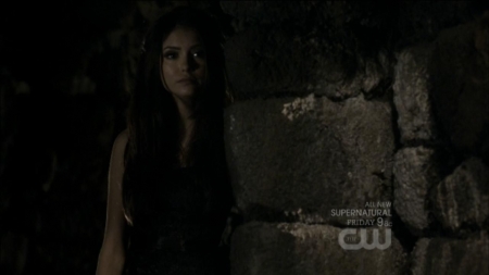 TVD0360.jpg
