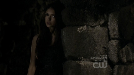 TVD0361.jpg
