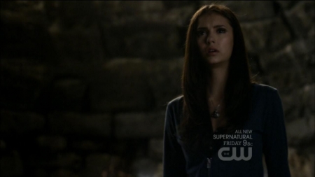 TVD0373.jpg