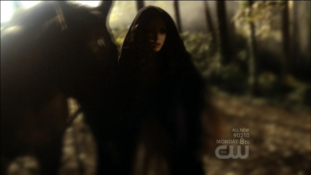 TVD0399.jpg